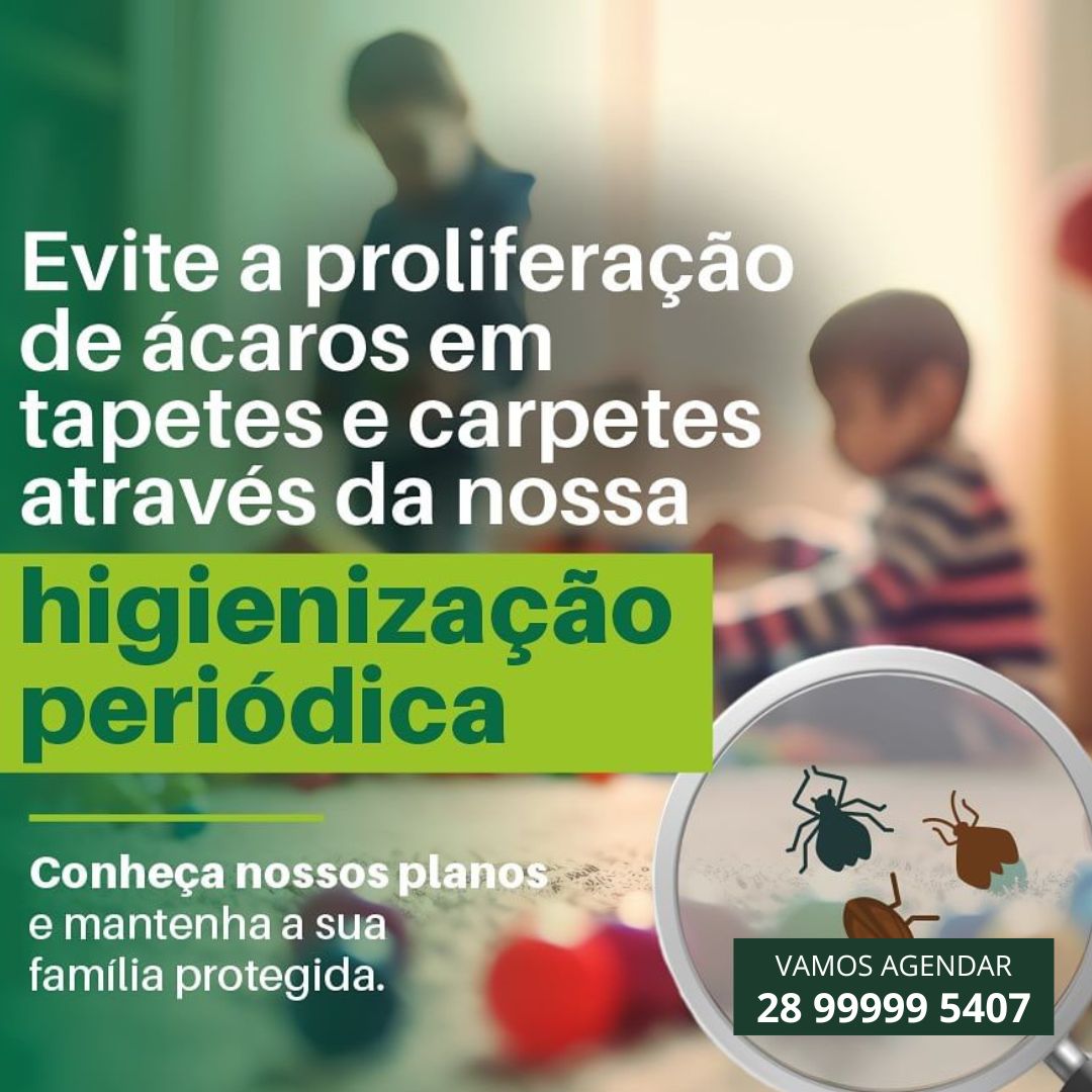 Higienização Sofá 2 e 3 lugares